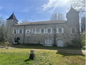 chateau à la vente -   82000  MONTAUBAN, surface 897 m2 vente chateau - UBI418407165